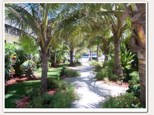 Tropical Landscaping