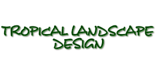 Tropical Landscaping