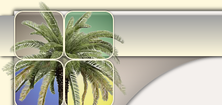 Tropical Landscaping